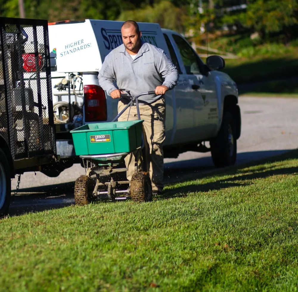 Reliable lawn mowing service in Richmond, VA by SpringGreen
