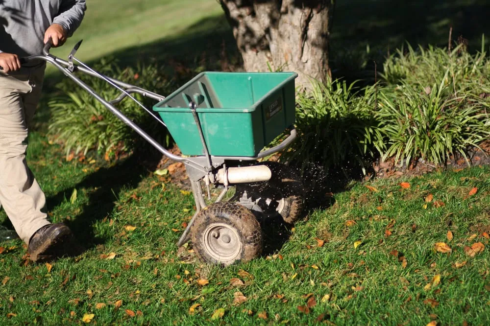 Reliable garden landscaping experts serving Richmond, VA - SpringGreen