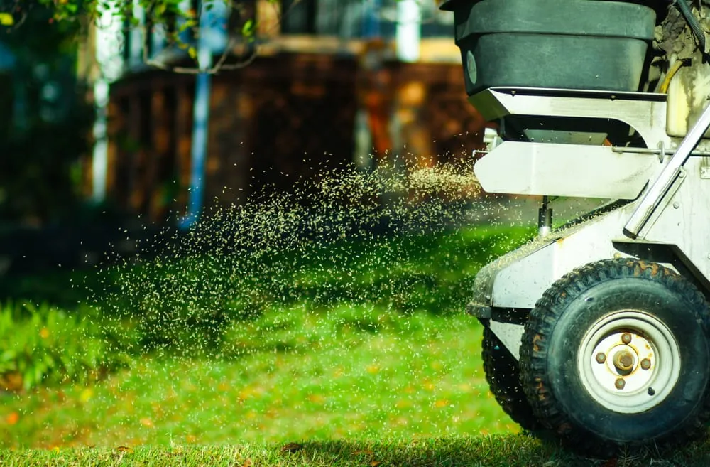 Trusted landscaping services in Richmond, VA - SpringGreen