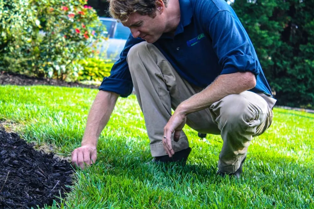 Local landscape installation in Richmond, VA by SpringGreen