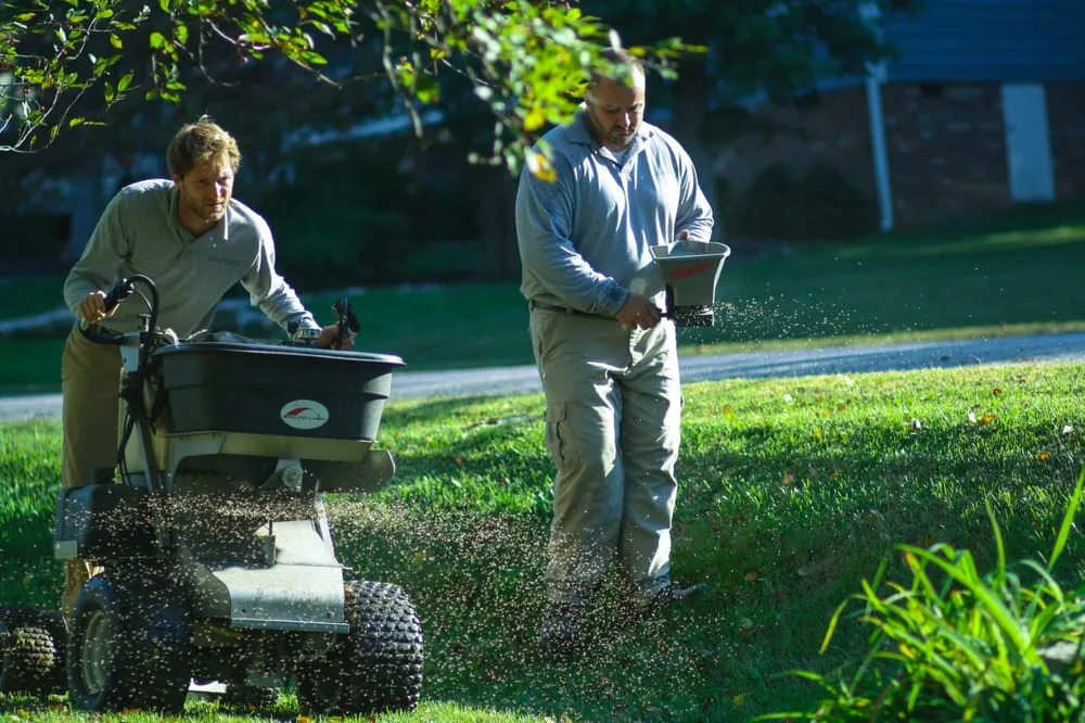 Affordable landscaping services experts serving Richmond, VA - SpringGreen