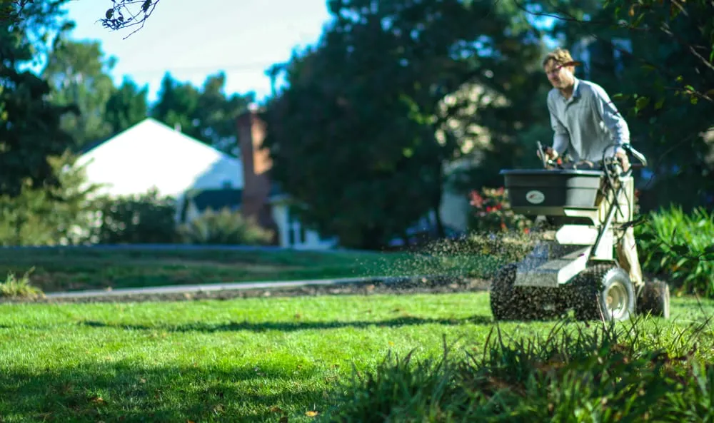 Trusted landscape installation experts serving Richmond, VA - SpringGreen