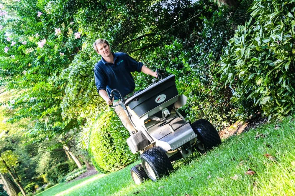 Custom yard maintenance experts serving Richmond, VA - SpringGreen