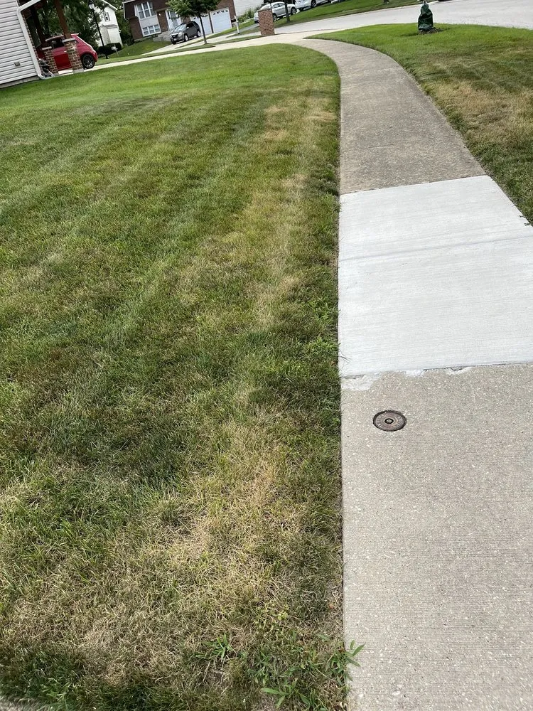 Expert landscape installation in Rolling Meadows, IL by SpringGreen