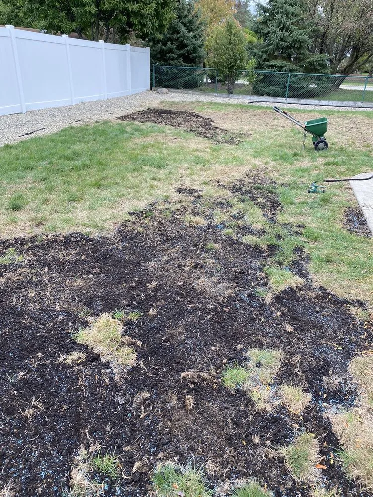 Affordable landscape installation in Rolling Meadows, IL - SpringGreen