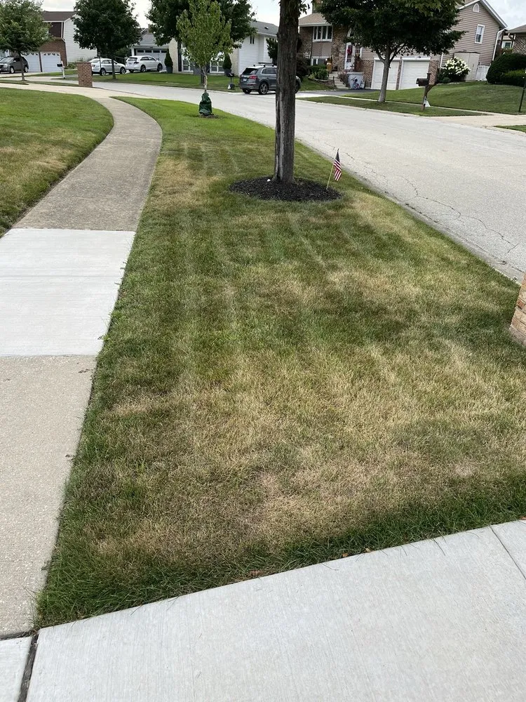 Affordable lawn mowing service in Rolling Meadows, IL by SpringGreen
