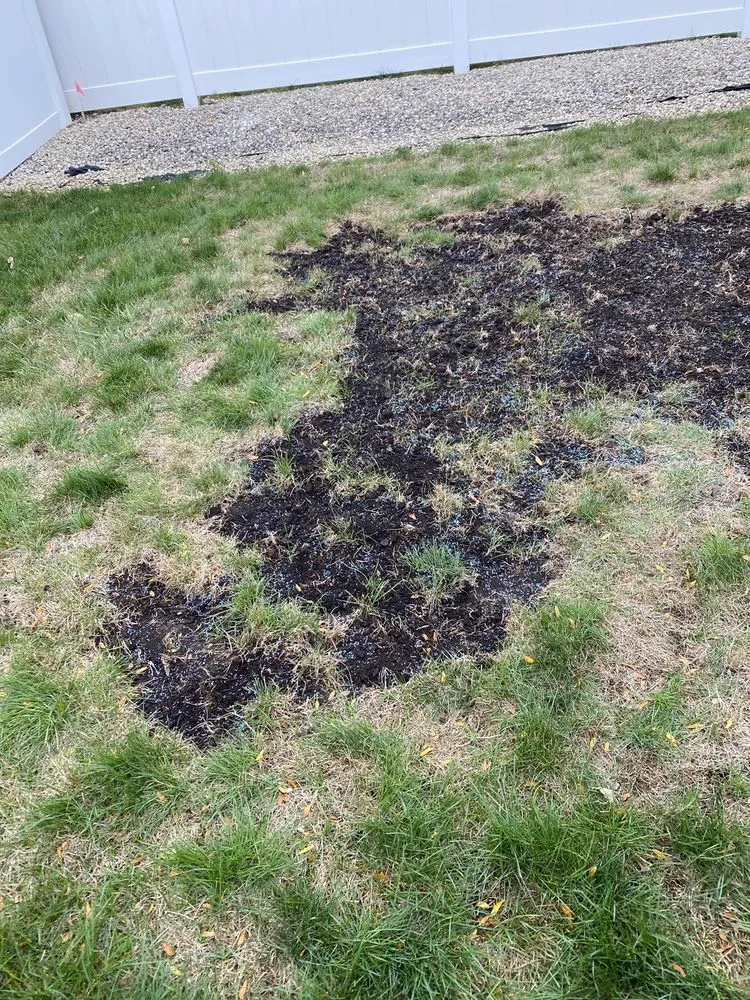 Expert garden landscaping in Rolling Meadows, IL - SpringGreen