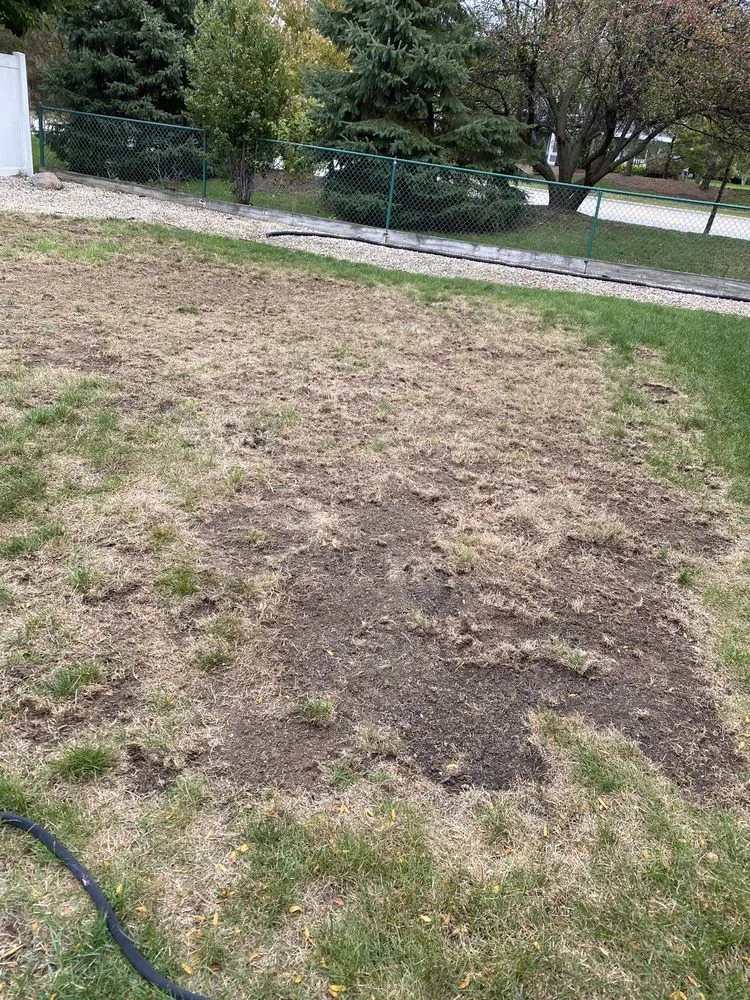 Trusted landscaping services for year-round maintenance in Rolling Meadows, IL by SpringGreen