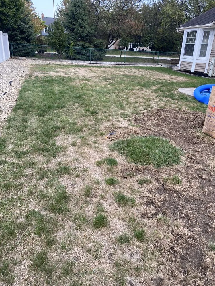 Reliable landscaping services for year-round maintenance in Rolling Meadows, IL by SpringGreen