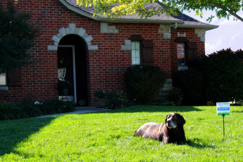 Affordable landscape installation experts serving Springfield, MO - SpringGreen