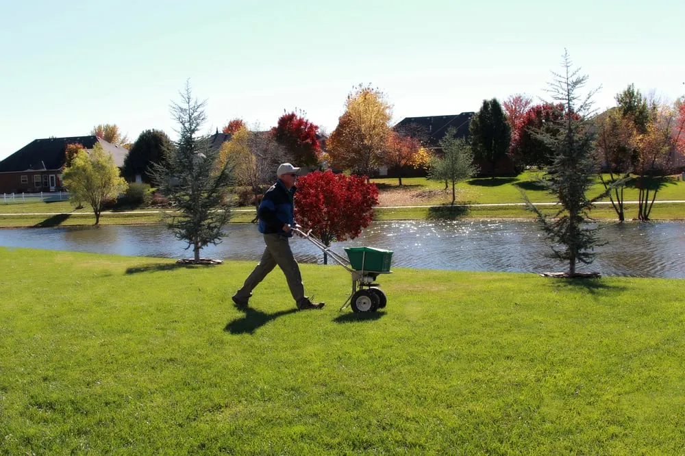 Top-rated residential landscaping for year-round maintenance in Springfield, MO by SpringGreen