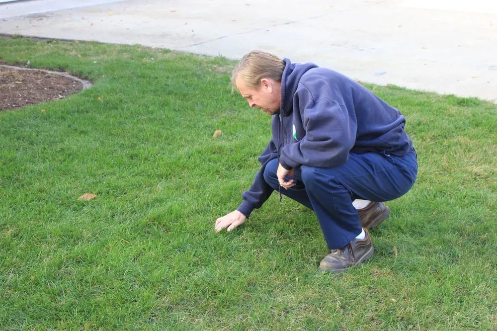 Reliable lawn mowing service in St. Joseph, IL by SpringGreen