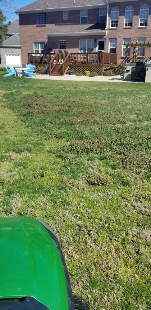 Professional residential landscaping for year-round maintenance across Suffolk, VA - SpringGreen