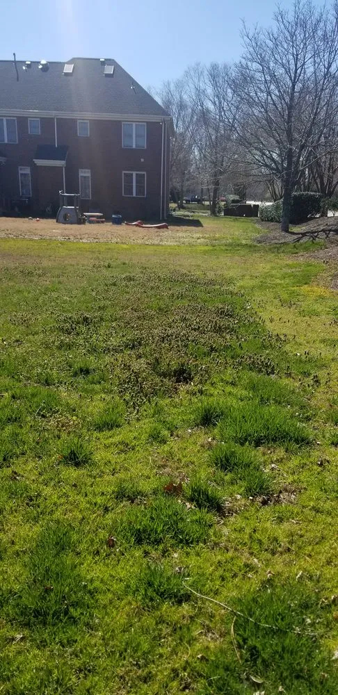 Reliable landscape installation for outdoor upgrades across Suffolk, VA - SpringGreen