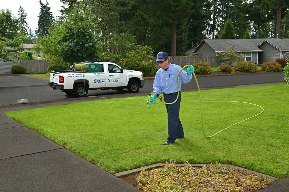Reliable landscape installation in Tumwater, WA - SpringGreen