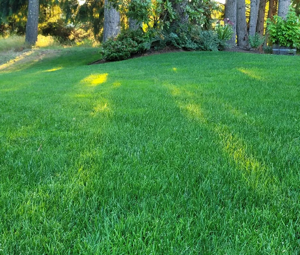 Custom landscape design experts serving Tumwater, WA - SpringGreen
