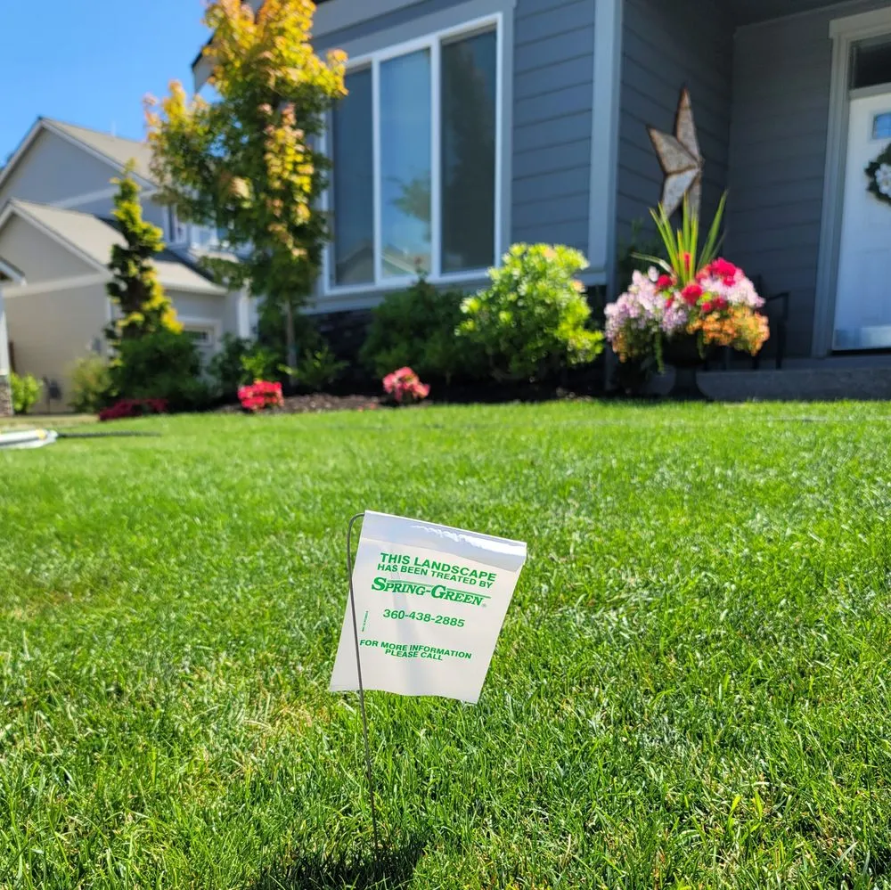Trusted outdoor landscaping in Tumwater, WA - SpringGreen