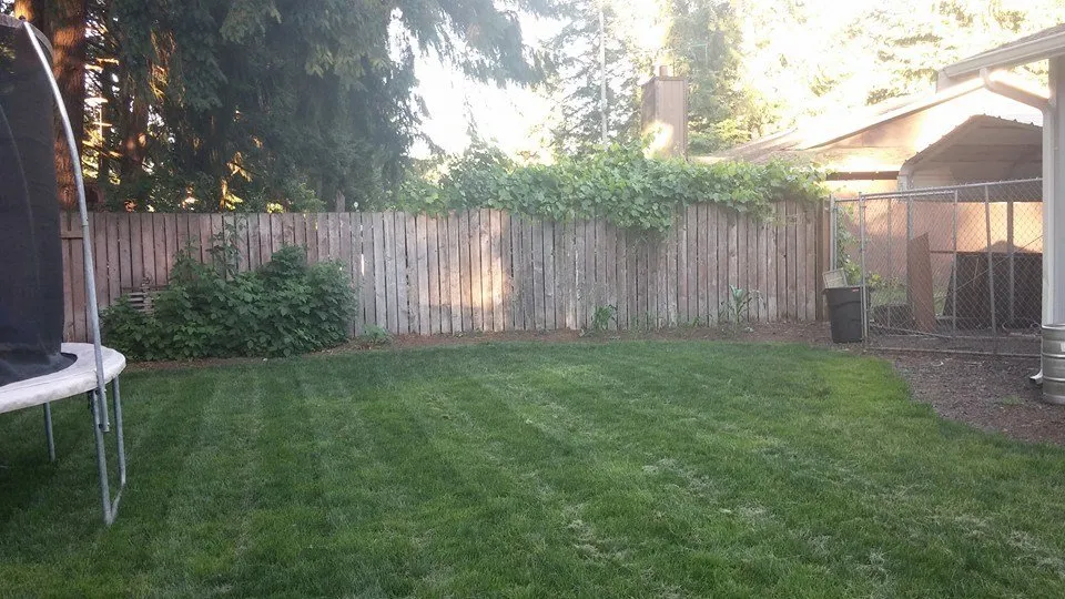 Professional garden landscaping for homes across Tumwater, WA - SpringGreen