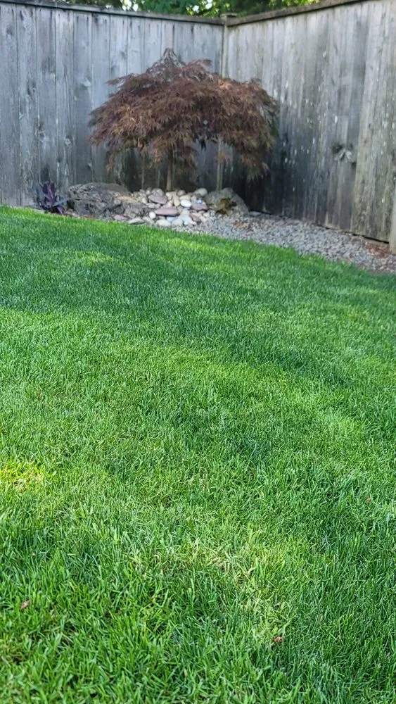 Affordable outdoor landscaping in Tumwater, WA - SpringGreen