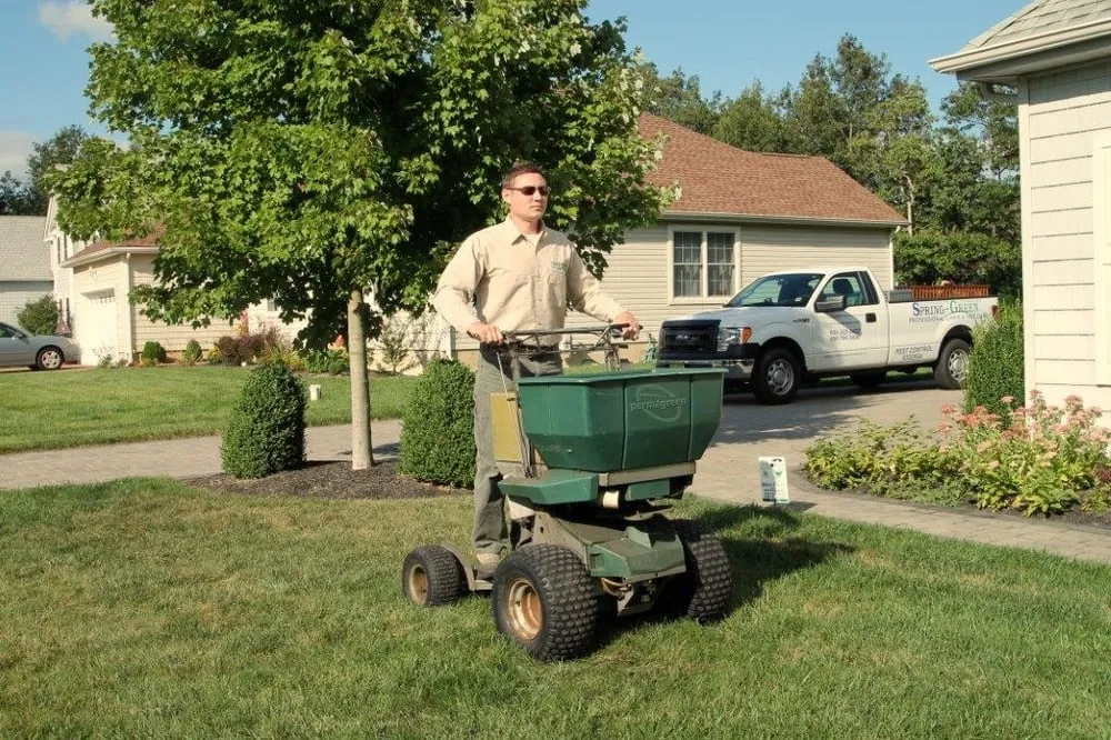 Affordable landscape design in Vineland, NJ - SpringGreen