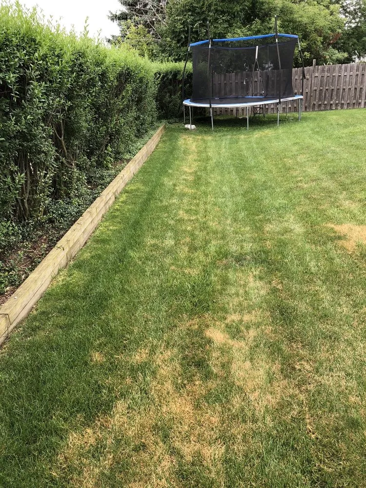 Custom lawn mowing service in Wauconda, IL by SpringGreen