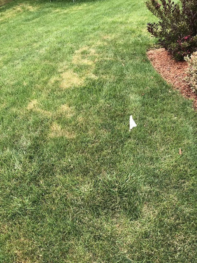 Trusted lawn mowing service with custom design in Wauconda, IL by SpringGreen