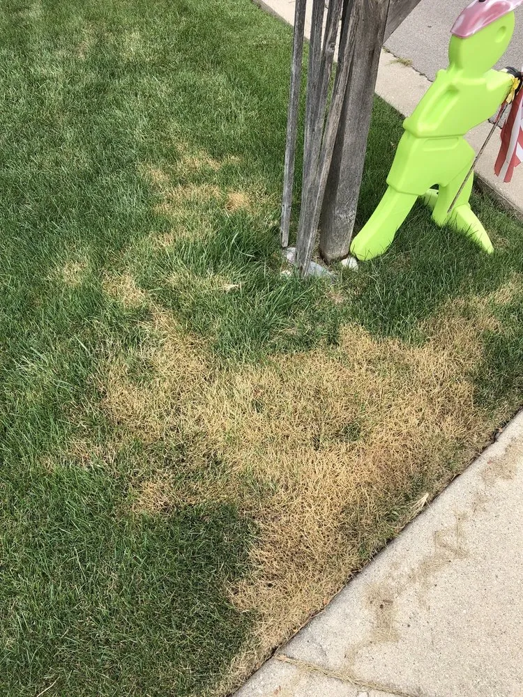 Affordable garden landscaping experts serving Wauconda, IL - SpringGreen