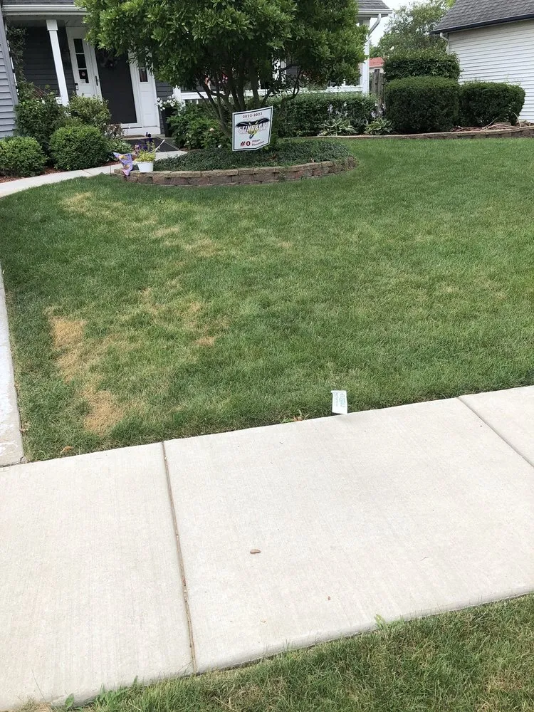 Affordable lawn mowing service for homes across Wauconda, IL - SpringGreen