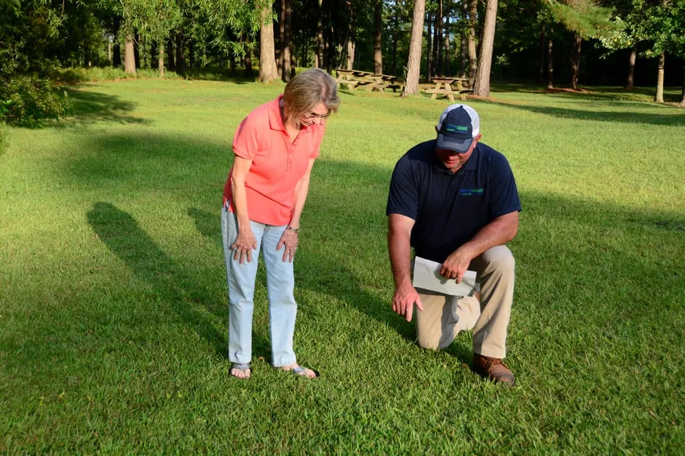 Local landscaping services in Wilmington, NC by SpringGreen