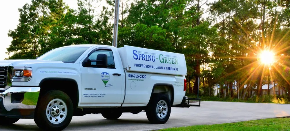 Reliable residential landscaping with custom design across Wilmington, NC - SpringGreen