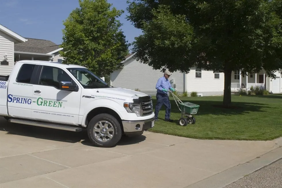 Reliable yard cleanup service in Wisconsin Rapids, WI by SpringGreen