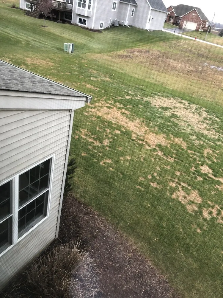 Custom lawn care service with custom design in Yorkville, IL by SpringGreen