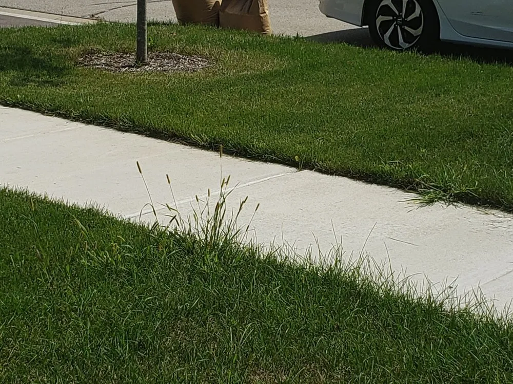 Trusted landscape design experts serving Yorkville, IL - SpringGreen