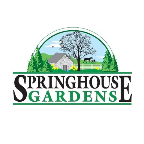 Professional yard cleanup service for outdoor upgrades in Nicholasville, KY by Springhouse Gardens