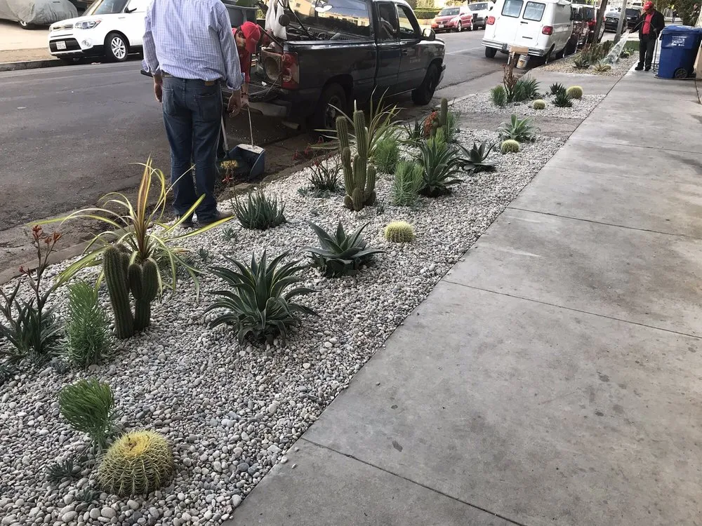 Reliable residential landscaping experts serving Los Angeles, CA - Springland Landscapes