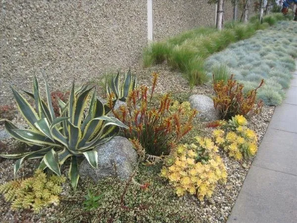 Professional lawn mowing service experts serving Los Angeles, CA - Springland Landscapes