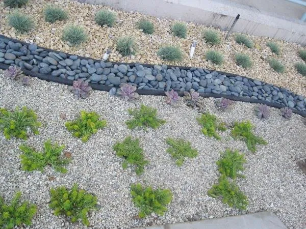 Expert yard maintenance in Los Angeles, CA - Springland Landscapes