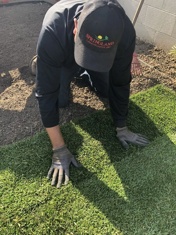 Expert lawn mowing service for beautiful yards in Los Angeles, CA by Springland Landscapes