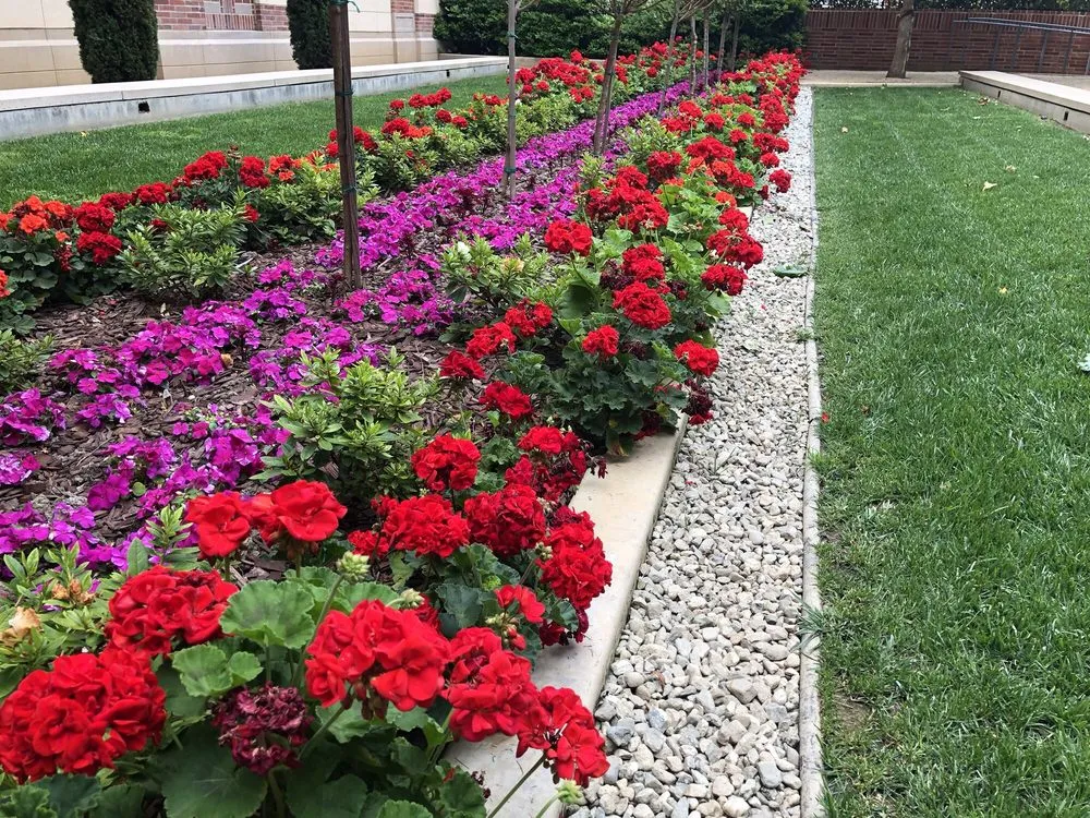 Professional lawn care service experts serving Los Angeles, CA - Springland Landscapes