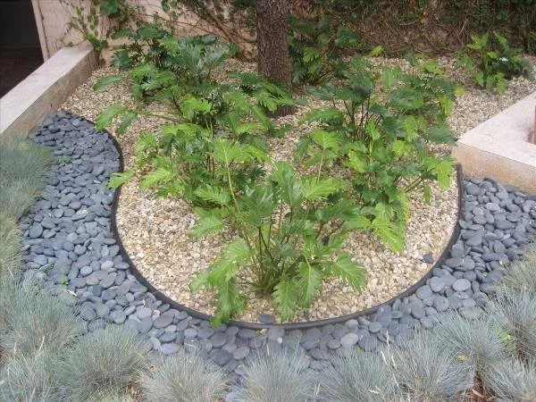 Professional landscaping services for outdoor upgrades in Los Angeles, CA by Springland Landscapes