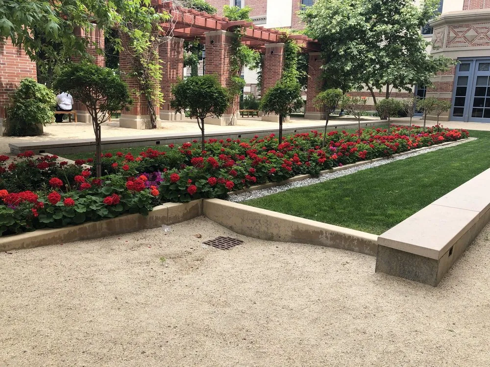 Trusted outdoor landscaping in Los Angeles, CA by Springland Landscapes