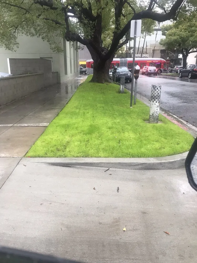 Professional outdoor landscaping experts serving Los Angeles, CA - Springland Landscapes