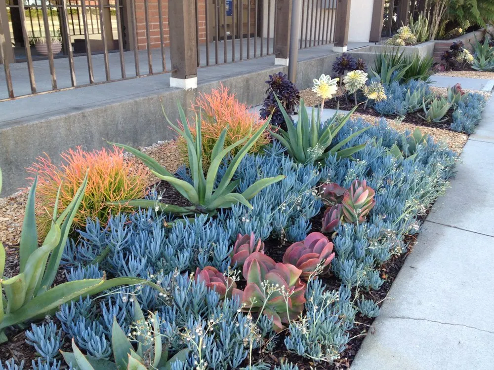 Expert landscape installation in Los Angeles, CA - Springland Landscapes