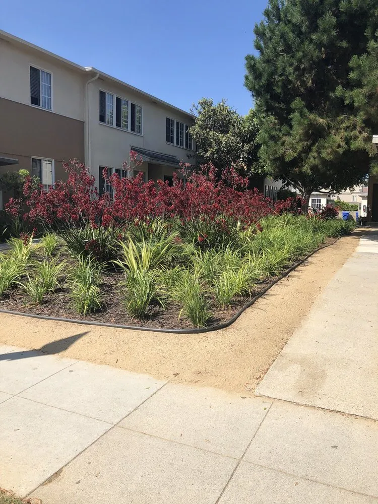 Affordable landscape design for outdoor upgrades across Los Angeles, CA - Springland Landscapes
