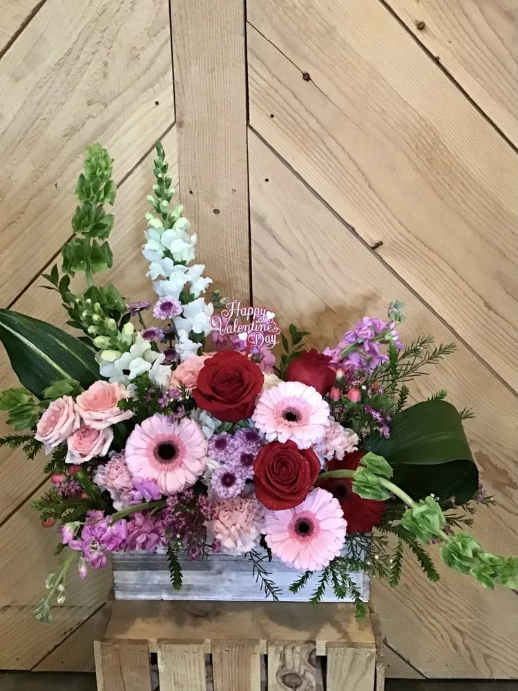 Expert residential landscaping in Salem, NH by Springlook Landscaping & Irrigation