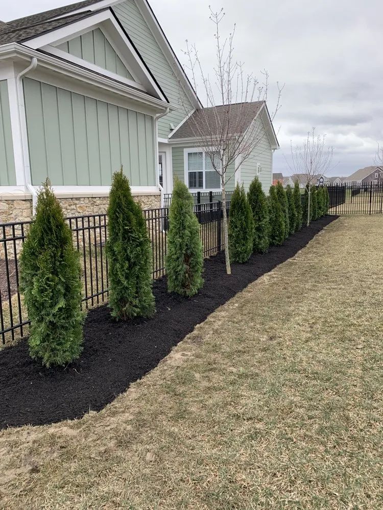 Professional yard cleanup service for homes in Westfield, IN by Springmill Landscaping