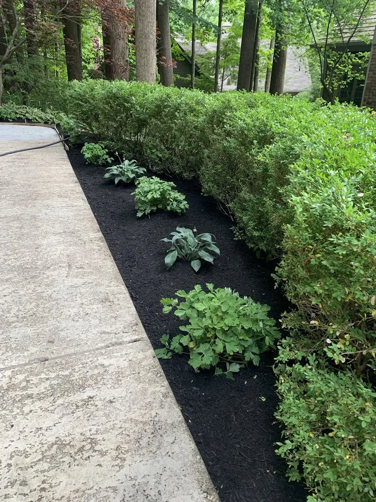 Trusted yard cleanup service with custom design in Westfield, IN by Springmill Landscaping