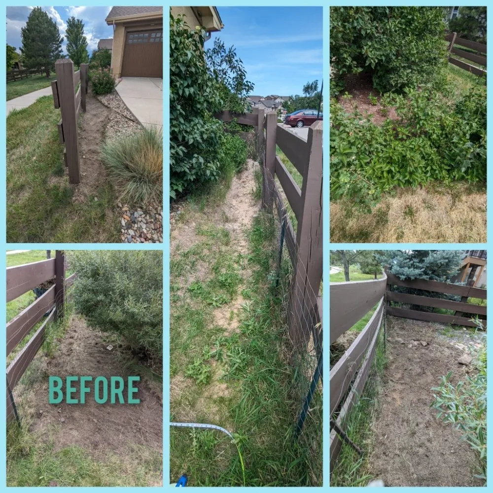 Reliable yard cleanup service in Colorado Springs, CO - Springs Best Handyman Services
