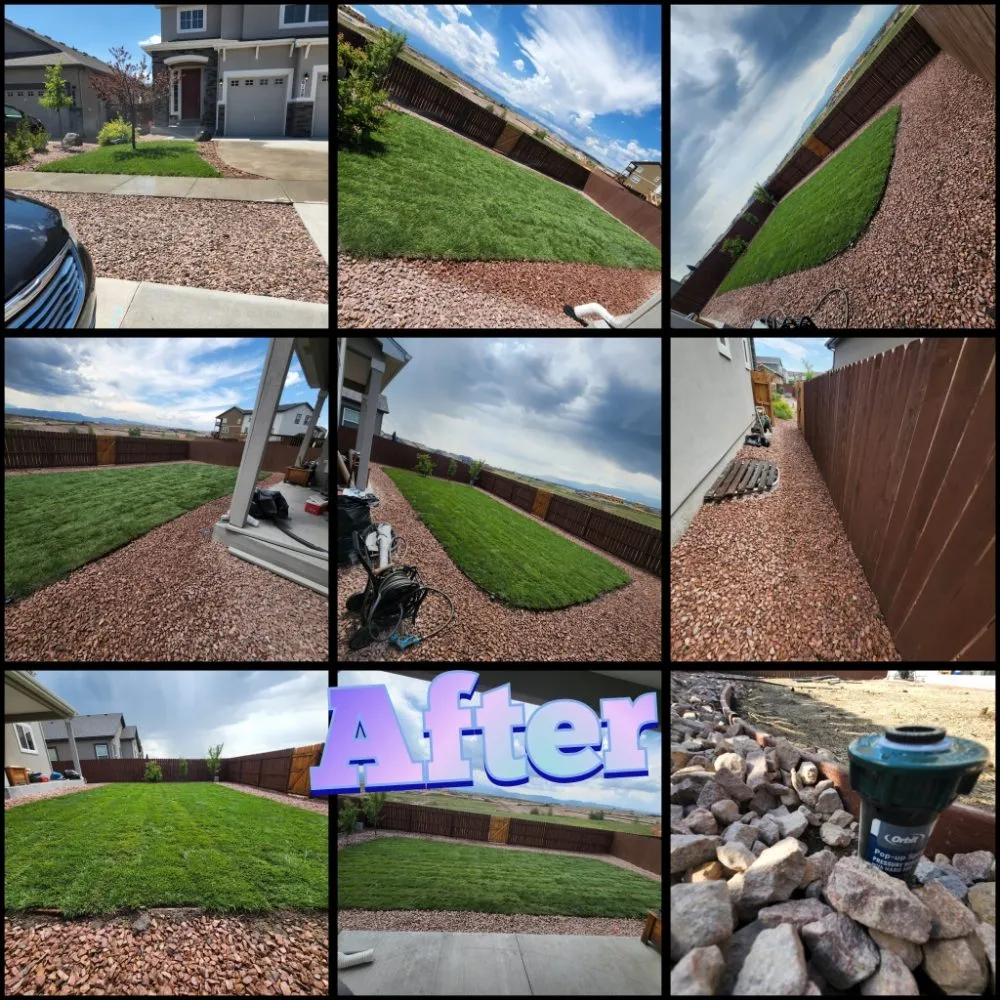 Custom lawn mowing service experts serving Colorado Springs, CO - Springs Best Handyman Services