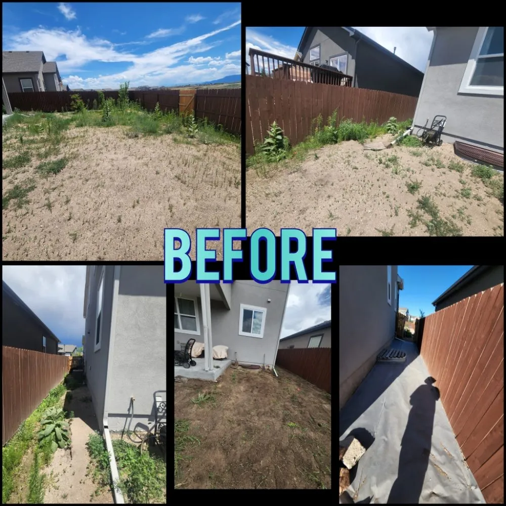 Expert lawn mowing service experts serving Colorado Springs, CO - Springs Best Handyman Services